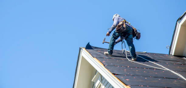 Best Storm Damage Roof Repair  in Hoyt Lakes, MN